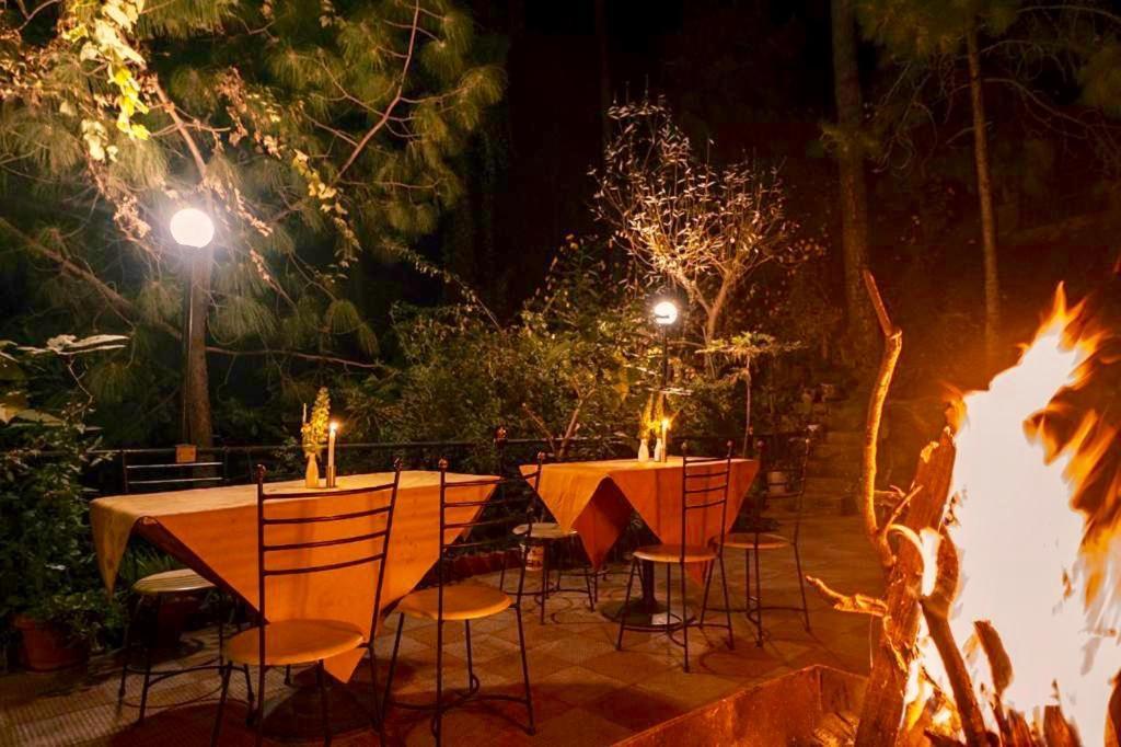 Nature View Resort !! A Four Star Lavish & Luxury Resort Chail Exterior foto